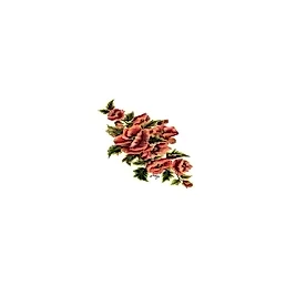 Gülsün Ülkü 25*35 G-68