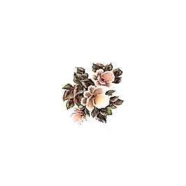 Gülsün Ülkü 17*25 G-164