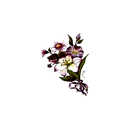 Gülsün Ülkü 25*35 G-61