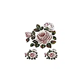 Gülsün Ülkü 25*35 G-84