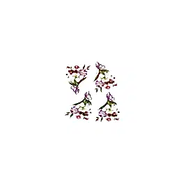 Gülsün Ülkü 17*25 G-44