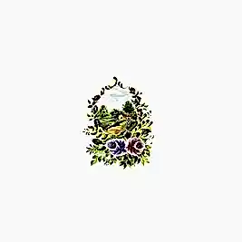 Gülsün Ülkü 17*25 G-09