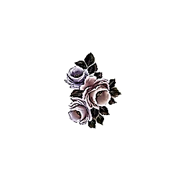 Gülsün Ülkü 17*25 G-162