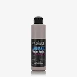 AW19 Vizon Gri Ambiante Islak Zemin Boyası 250ML + Katalizör 10GR