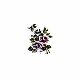 Gülsün Ülkü 17*25 G-14