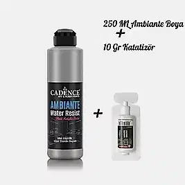 AMBİANTE SUYA DAYANIKLI BOYA METALİK AWM-06 GÜMÜŞ 250 ML