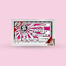 Toz Kumaş Boyası Ateşi Pembe V-06