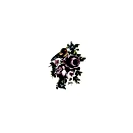 Gülsün Ülkü 17*25 G-28