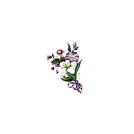Gülsün Ülkü 17*25 G-39