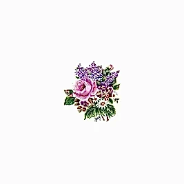 Gülsün Ülkü 17*25 G-23