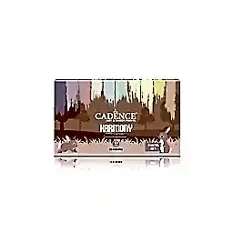 HARMONY AKRİLİK 10'LU SET PASTEL RENKLER 59ML