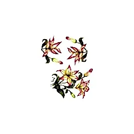 Gülsün Ülkü 25*35 G-62
