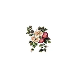 Gülsün Ülkü 17*25 G-161