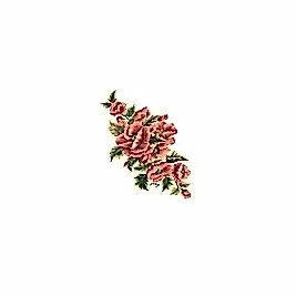 Gülsün Ülkü 17*25 G-94