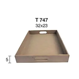 T 747 KÜÇÜK DÜZ DİKDÖRTGEN TEPSİ