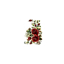 Gülsün Ülkü 17*25 G-08