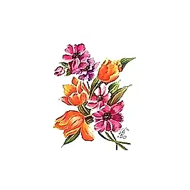 Gülsün Ülkü 17*25 G-38