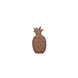 F35 AYAKTA DURAN ANANAS