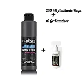 AMBİANTE SUYA DAYANIKLI BOYA METALİK AWM-08 SİYAH 250 ML