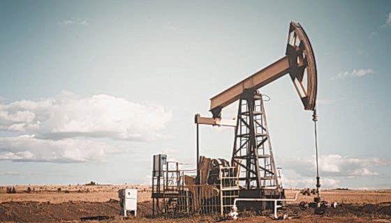 2019 Yeni Ürün Tanıtımı